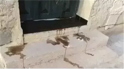 قصة واقعية دود يخرج من منزل عروس وعريس ولن تصدق مالسبب