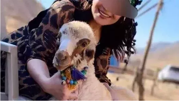 لمحة نيوز