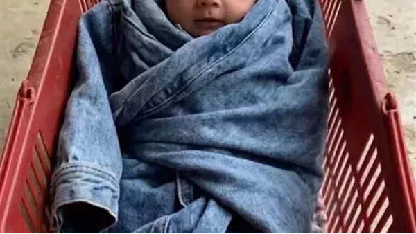 لمحة نيوز