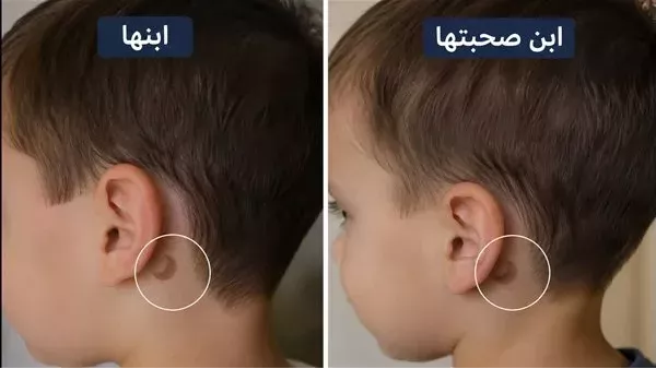 لمحة نيوز